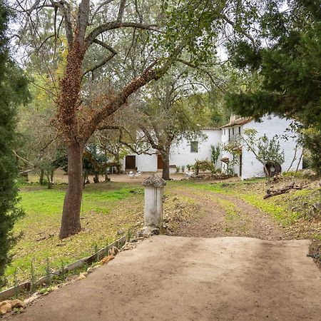 Villa Molino De Gris Cazorla à Chilluevar Extérieur photo