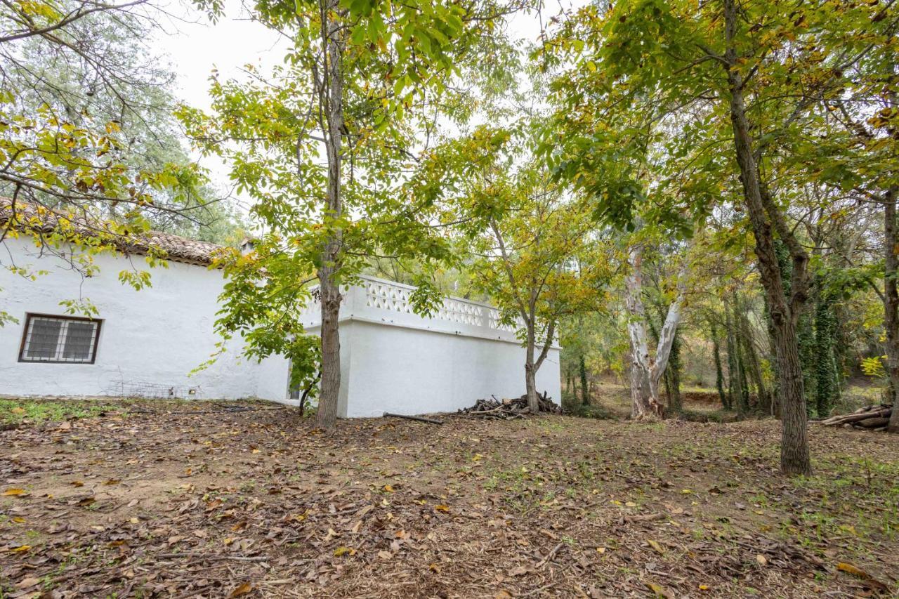 Villa Molino De Gris Cazorla à Chilluevar Extérieur photo