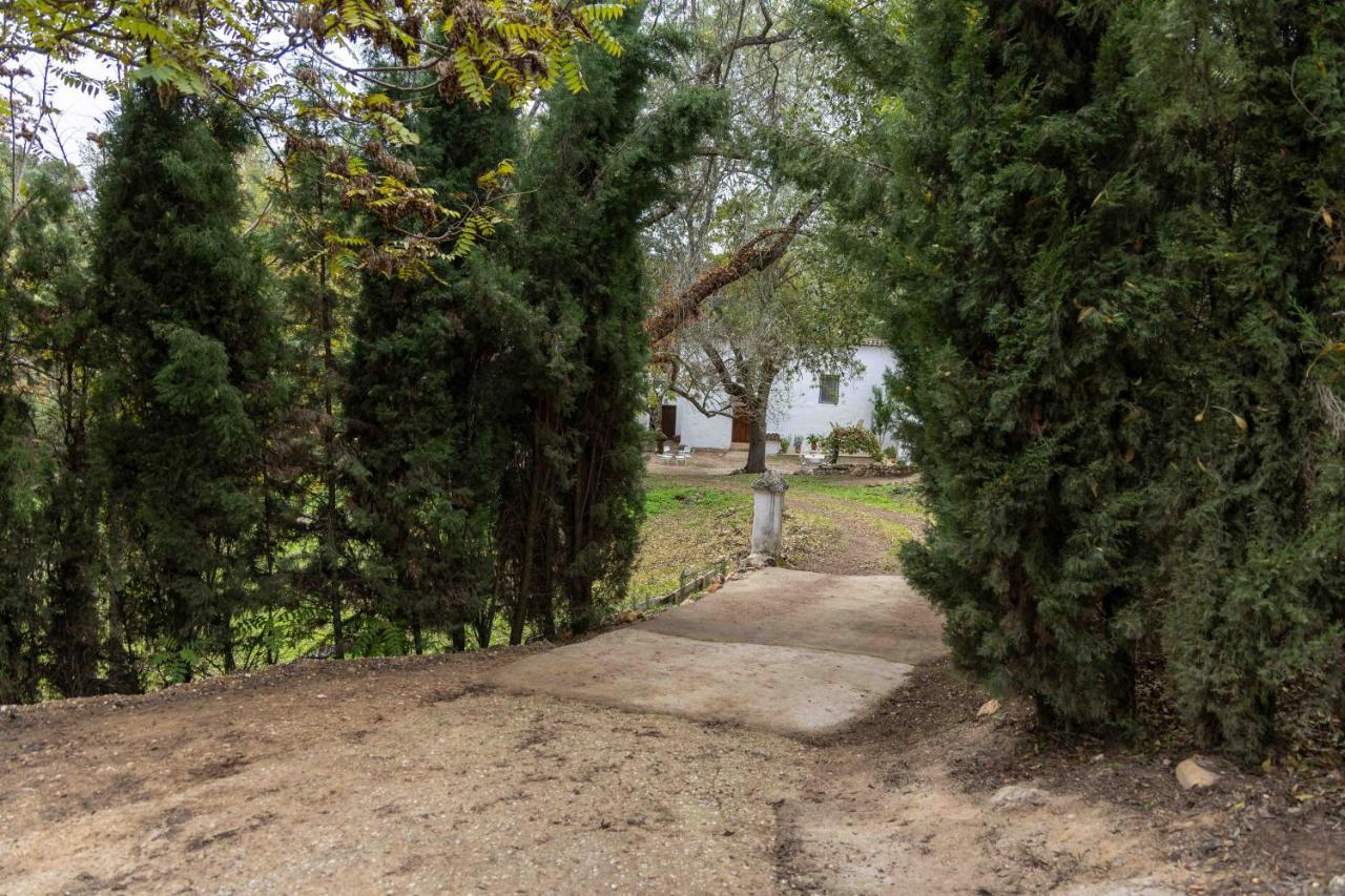 Villa Molino De Gris Cazorla à Chilluevar Extérieur photo
